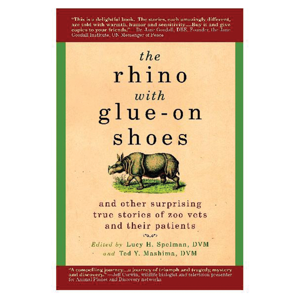 THE RHINO WITH GLUE- ON SHOES