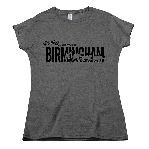 LADIES SHORT SLEEVE TEE IT'S NICE TO HAVE YOU CHARCOAL